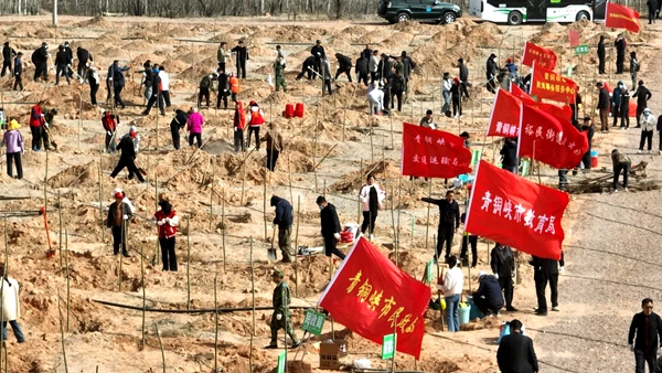 吳忠市開展2025年春季義務植樹活動