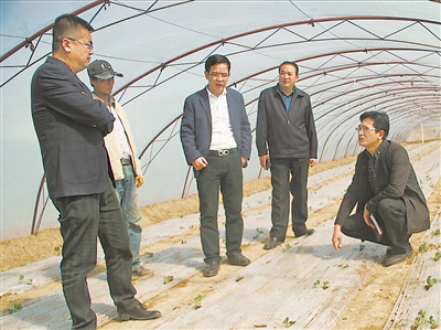 <p>　　徐情根（右一）和呂培基（左三）考察產業發展情況。</p>