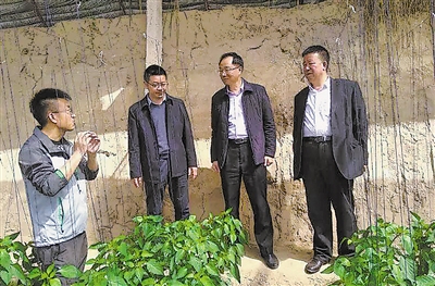 <p>　　（本版圖片均資料圖片）</p><p>　　福建援寧工作隊干部林其煌（左二）在溫棚里了解情況。</p>
