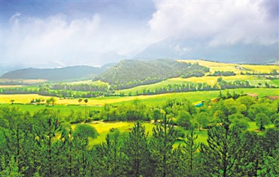 <p>　　　　槐樹林生態森林公園</p>