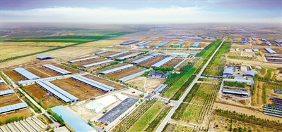 <p>　　利通區(qū)五里坡奶牛養(yǎng)殖基地。</p>