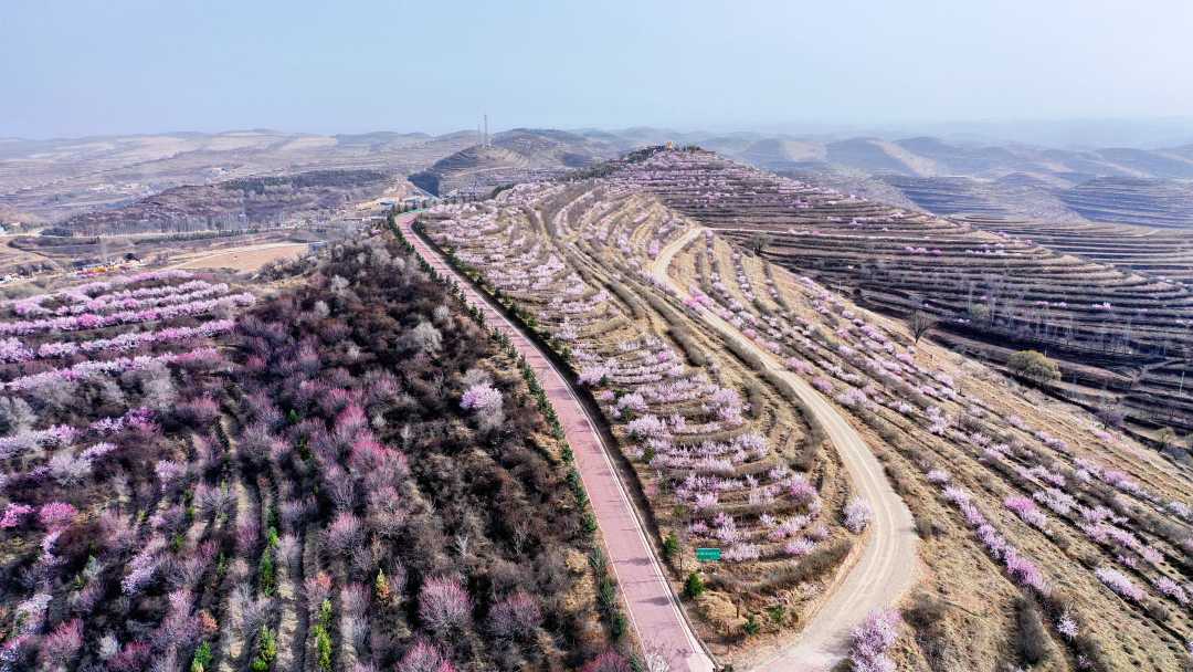 d55cb003cc3a9783de3e0bb1f905a7c6.jpeg d55cb003cc3a9783de3e0bb1f905a7c6.jpeg