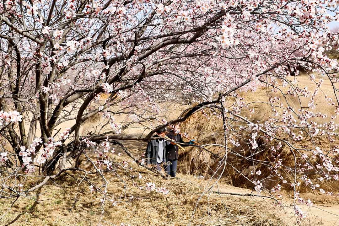 da69bbd53384a8479f988efc68790313.jpeg da69bbd53384a8479f988efc68790313.jpeg