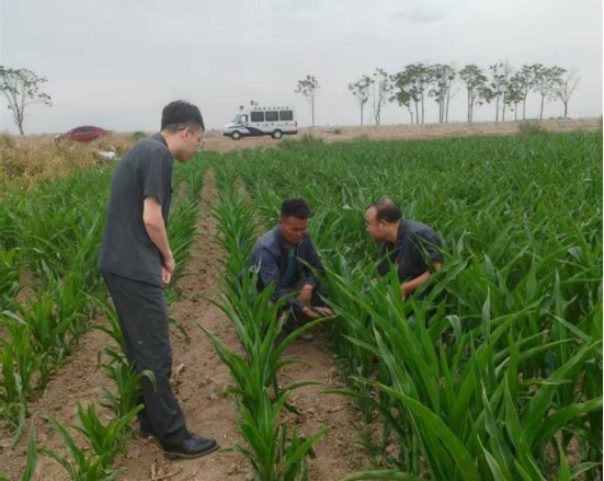 平羅縣法院沙湖人民法庭主動延伸司法服務(wù)