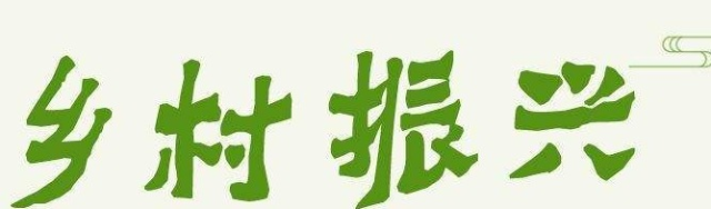 小麥新品種寧春63號在石嘴山市實收測產(chǎn)