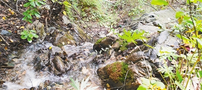 <p>　　南華山靈光寺山泉</p>