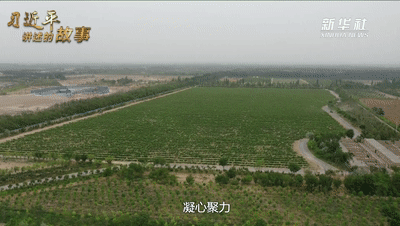 6.gif