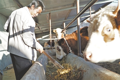 <p>　　有水就敢大膽發展養殖產業。</p>