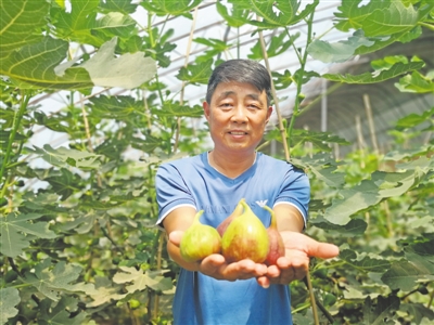 <p>　　蜜瓜、無花果、奶牛養殖……月牙湖鄉抓住產業扶貧這個關鍵詞，推進一二三產業融合發展。</p>