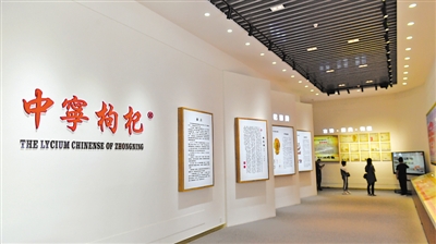 <p>　　寧夏大學枸杞職業技術繼續教育學院枸杞文化長廊展示枸杞歷史文化。依托院校資源，中寧縣大力培養枸杞苗木繁育、電子商務、冷鏈倉儲、科技推廣等方面的專業技術人才?！　　　　　　　　　　　　　　　　　　　　　　　　　　　　　　　　　　　　　　　　　　　　　”緢笥浾摺⊥醵Αz</p>