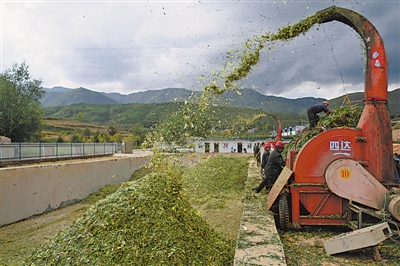 <p>　　涇源縣大灣鄉楊嶺村，村民在加工儲存青貯飼料。</p>