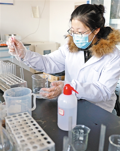 <p>　　寧夏西海固高端牛產業研究院飼料營養研究室，西北農林科技大學學生在進行實驗。</p>