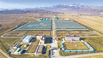 <p>　　海原縣標準化、規模化肉牛養殖基地。</p>