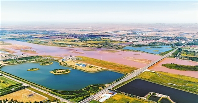 <p>　　黃河水滋養了中寧大地。</p>