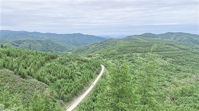 <p>　　涇隆公路沿線景致（資料圖片）。全區(qū)山林權(quán)改革實(shí)施以來，林地確權(quán)有了新突破。重點(diǎn)縣區(qū)權(quán)屬無爭議林地確權(quán)率達(dá)到98.27%，依申請頒發(fā)林權(quán)類不動產(chǎn)證233本，基本實(shí)現(xiàn)“應(yīng)確盡確”。登記頒證有了新模式。鹽池縣將確權(quán)的林地量化為股權(quán)，實(shí)現(xiàn)　“分股不分山”“分利不分林”。彭陽縣變單戶發(fā)證為聯(lián)戶發(fā)證，首創(chuàng)《山林地確權(quán)明白書》，破解“一戶多證”的難題。植綠護(hù)綠有了新主體。惠農(nóng)區(qū)通過建立林票換能票、能票換鈔票、鈔票換林票的“三票”聯(lián)動機(jī)制，引入社會資本5600萬元。林權(quán)融資有了新渠道。靈武市設(shè)立政府回購基金，通過“預(yù)回購+林權(quán)質(zhì)押+擔(dān)保+貸款”的林業(yè)金融服務(wù)模式，為經(jīng)營主體授信擔(dān)保貸款。流轉(zhuǎn)收益上了新臺階。彭陽縣集體林地流轉(zhuǎn)交易價(jià)格從2021年的每畝13—20元增長到2022年的每畝37—250元，帶動集體林地經(jīng)營權(quán)流轉(zhuǎn)增值效應(yīng)逐步顯現(xiàn)。</p><p>　　目前，已有5宗山林權(quán)在自治區(qū)公共資源交易平臺完成交易，成交金額169.27萬元，成交面積2504.5畝。本報(bào)記者　毛雪皎</p>