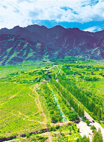     綠色——賀蘭山，寧夏的父親山。隨著近年來賀蘭山生態保衛戰的打響，賀蘭山生態逐步恢復，是寧夏踐行“綠水青山就是金山銀山”理念的生動寫照。     本報記者 馬楠 攝