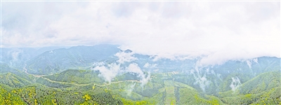     清晨，薄霧籠罩六盤山。
