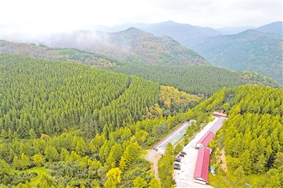     位于六盤山國家森林公園內的王化南護林點。