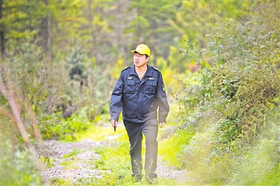    護林員馬成君踏上巡山路。