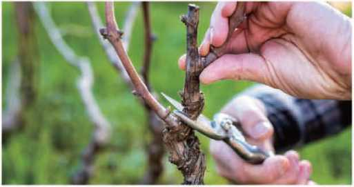 圖片14.png 圖片14.png