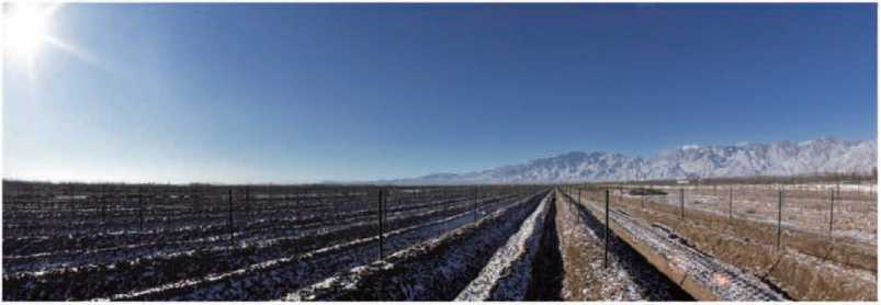 圖片16.png 圖片16.png