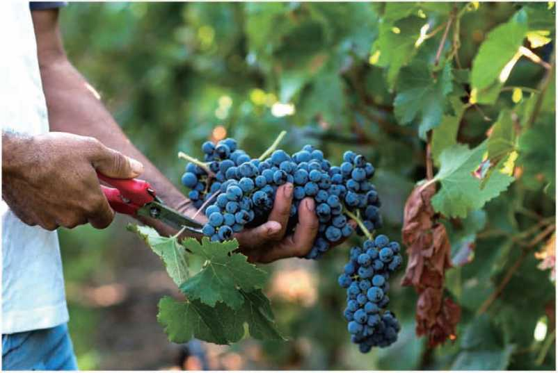 圖片17.png 圖片17.png