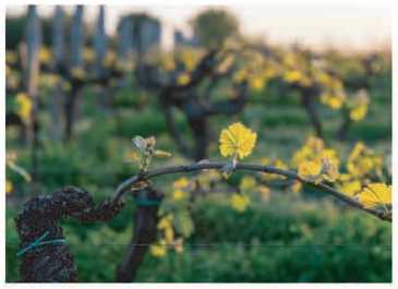 圖片18.png 圖片18.png