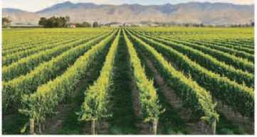 圖片19.png 圖片19.png