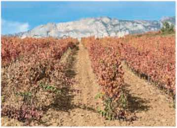 圖片20.png 圖片20.png