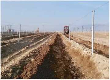 圖片21.png 圖片21.png